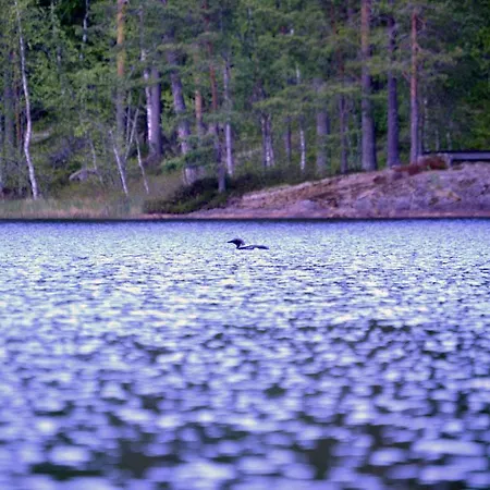 Minttu
